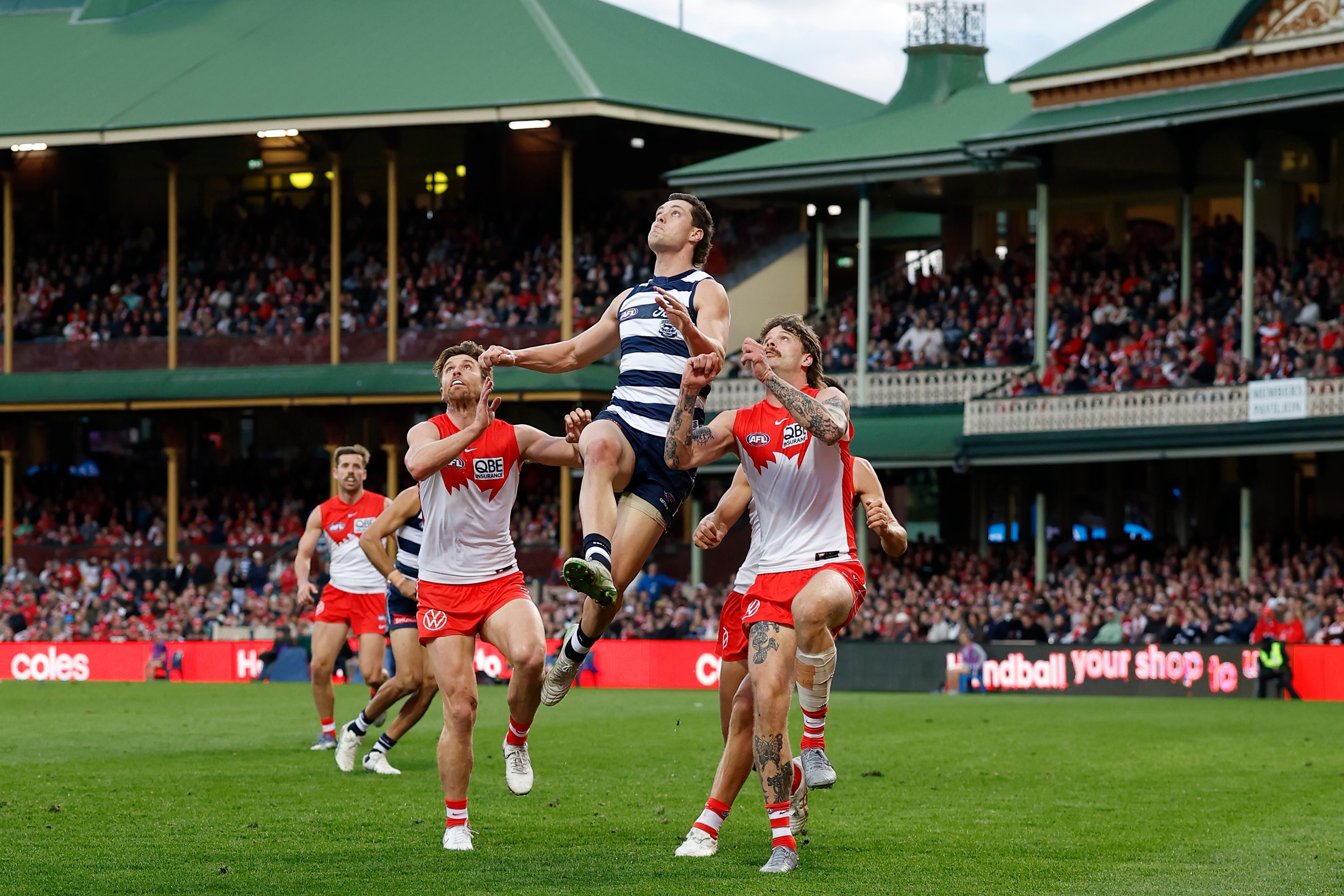 Cats sink Swans on the SCG