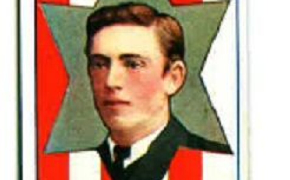 Lightforce therapy lasers for sale image