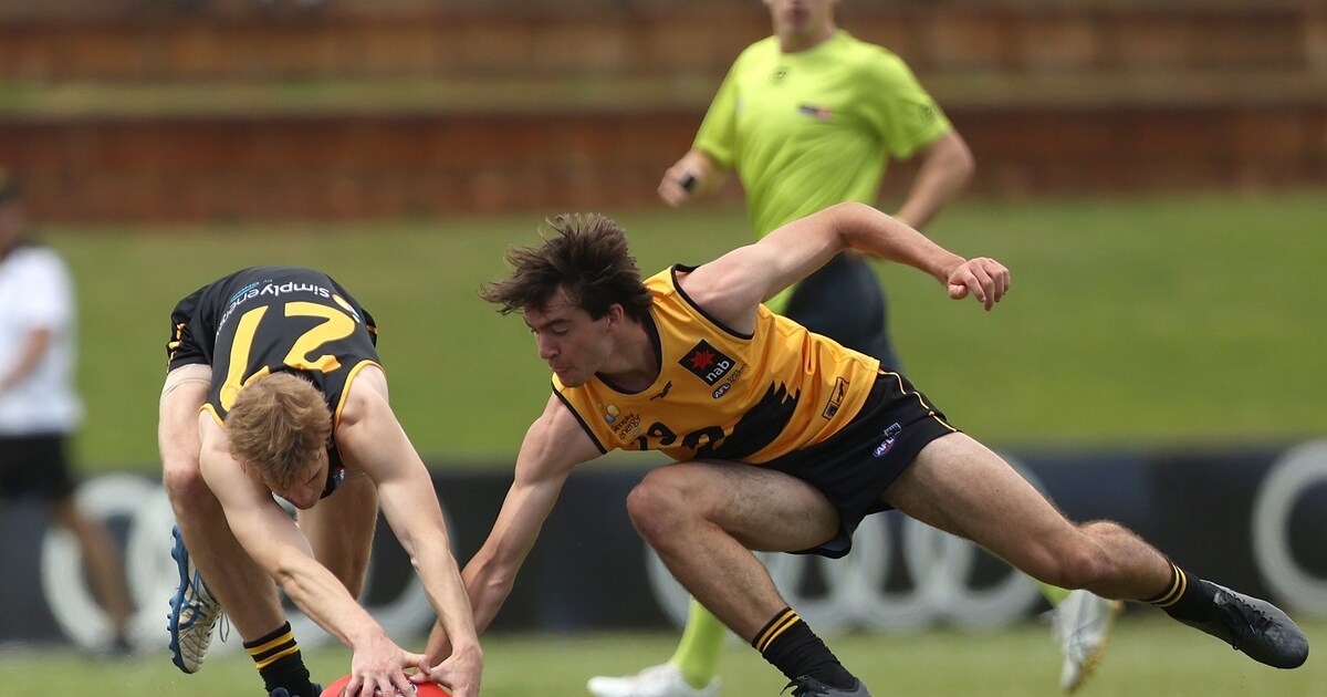 AFL Draft, Pick 4 Logan McDonald